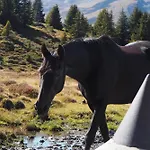 شقة Valdafur *