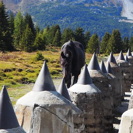 Valdafur アパート *