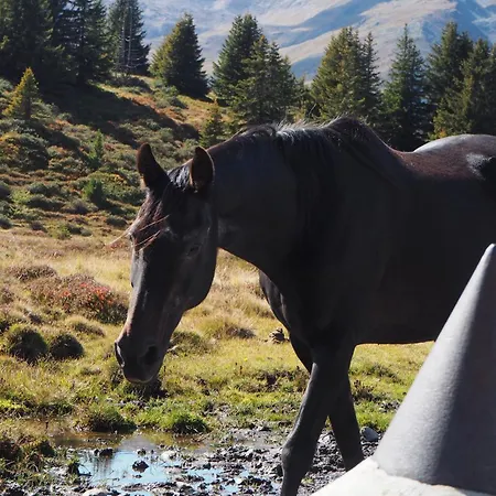 Apartment Valdafur *